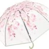 Fop En Bij Koepelparaplu - Paraplu - Doorzichtig - Voor Volwassenen - Opvouwbaar - Transparant Bloesem