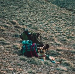 LOWLAND OUTDOOR® Donzen Slaapzak - Super Compact Blanket - 210 X 80 Cm - 590gr +8°C -Buiten Kampeer Aanbieding 1200x1196 11