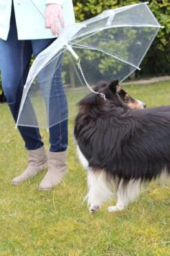 United Entertainment - Honden Paraplu - Wit -Buiten Kampeer Aanbieding 800x1200 52